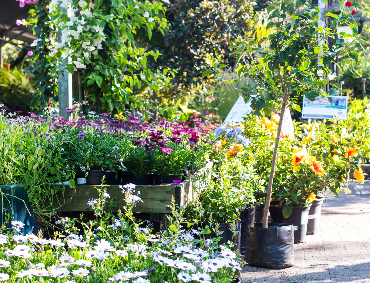garden-1